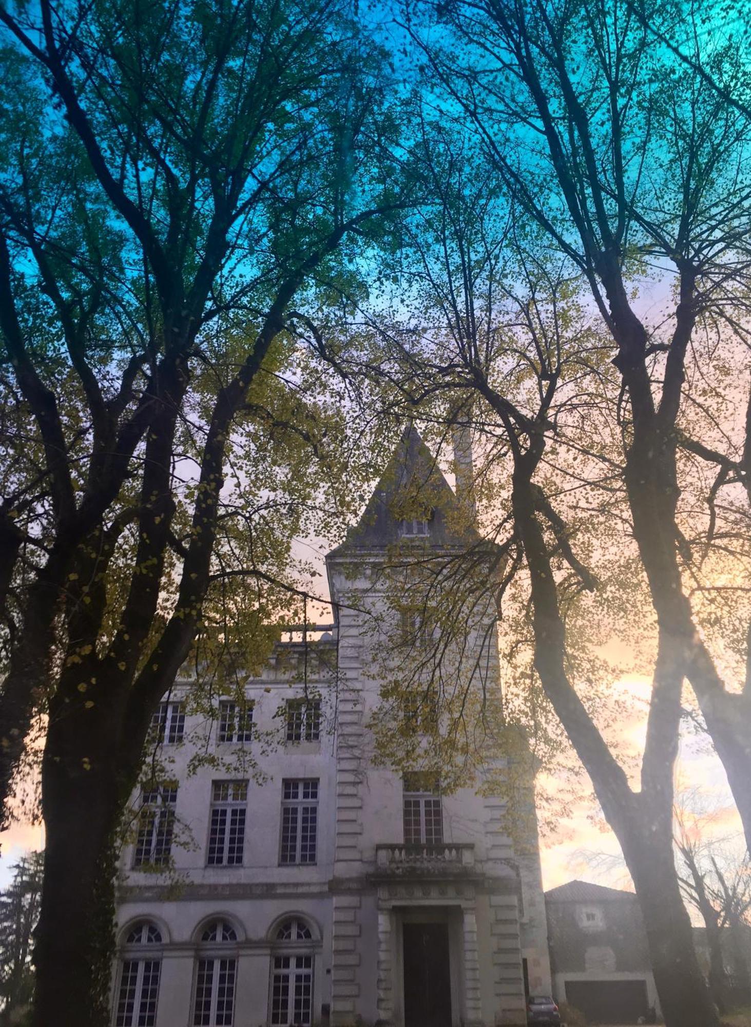 Chateau De Chasseneuil Sur Bonnieure Eksteriør billede